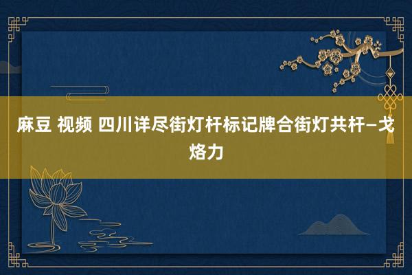 麻豆 视频 四川详尽街灯杆标记牌合街灯共杆—戈烙力