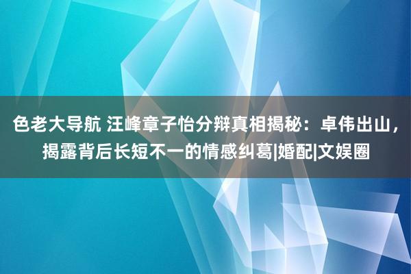 色老大导航 汪峰章子怡分辩真相揭秘：卓伟出山，揭露背后长短不一的情感纠葛|婚配|文娱圈