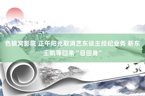 色狼窝影院 正午阳光取消艺东谈主经纪业务 靳东王凯等回来“目田身”