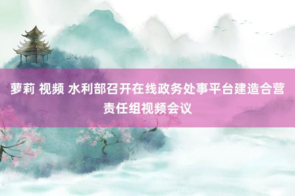 萝莉 视频 水利部召开在线政务处事平台建造合营责任组视频会议